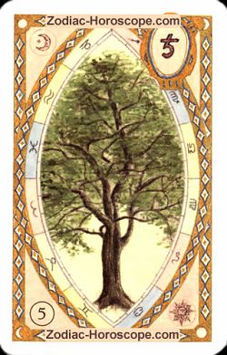 The tree, monthly Love and Health horoscope July Aquarius