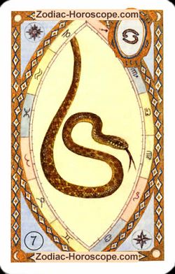 The snake, monthly Love and Health horoscope June Aquarius