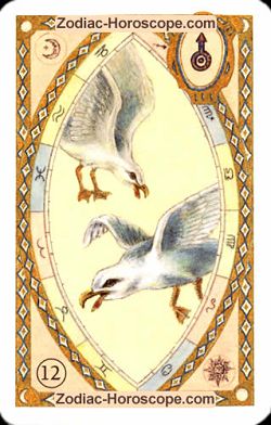 The birds, monthly Love and Health horoscope December Aquarius