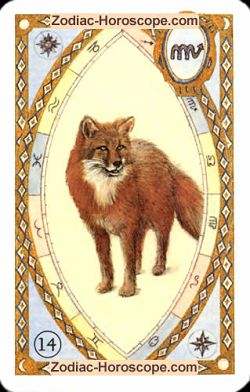 The fox, monthly Love and Health horoscope November Aquarius