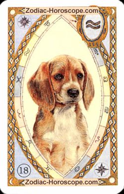 The dog, monthly Love and Health horoscope July Aquarius