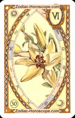 The lily, monthly Love and Health horoscope May Aquarius