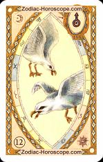 The birds astrological Lenormand Tarot