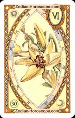 The lily astrological Lenormand Tarot