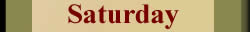 Daily Aquarius horoscope saturday