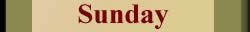 Daily Aquarius horoscope sunday