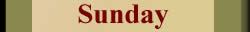 Daily Aquarius horoscope sunday