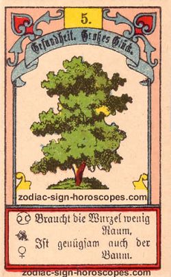 The tree, monthly Aquarius horoscope April