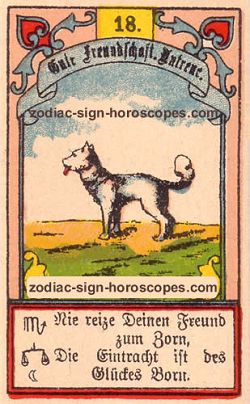 The dog, monthly Aquarius horoscope January