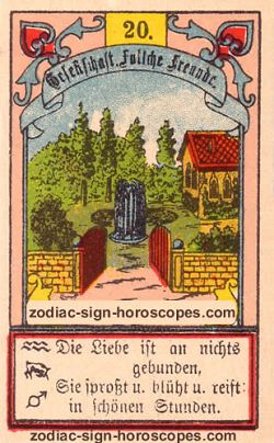 The garden, monthly Aquarius horoscope February