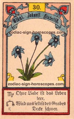 The lily, monthly Aquarius horoscope January